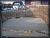 IMG_2304.JPG