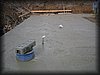 IMG_2412.JPG