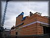 IMG_3009.JPG